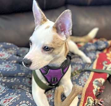 Photo of STORM