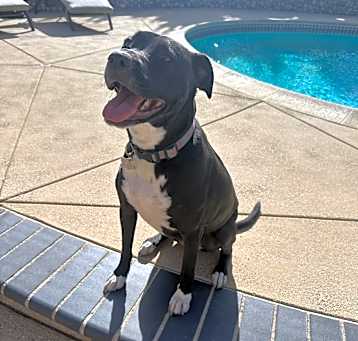 Photo of Olive