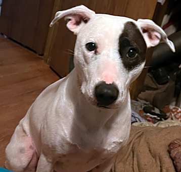 Photo of Maggie