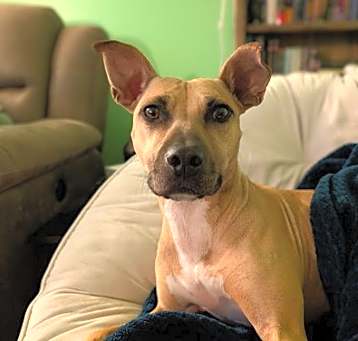 Photo of Polly