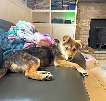 Photo of Xena