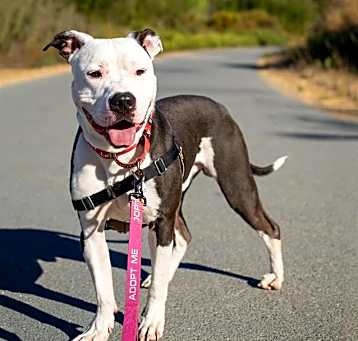 Photo of MOZZY