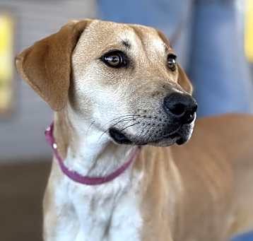 Photo of Mabel