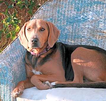 Photo of Evie- Sponsored!