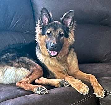 Photo of RIP