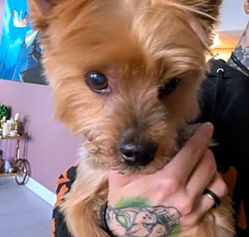 Photo of Angelo