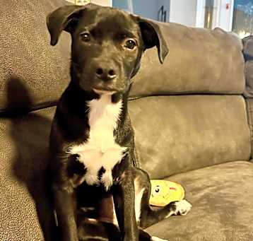 Photo of Cali