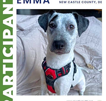 Photo of Emma