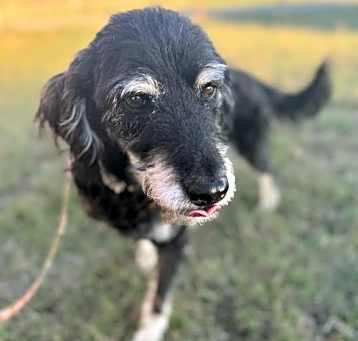 Photo of Wally
