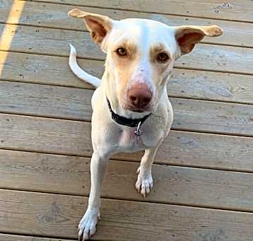 Photo of Bonnie