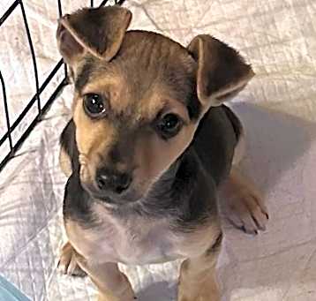 Photo of Jubilee