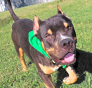 Photo of Hoss
