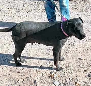 Photo of Addy