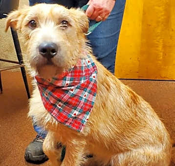 Photo of Benny