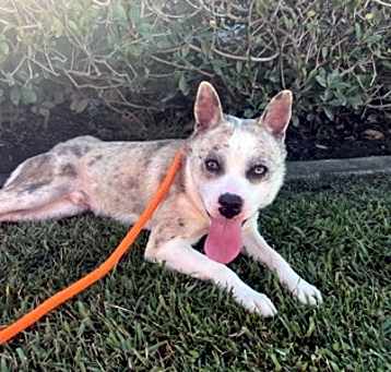 Photo of BENTLEY