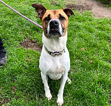 Photo of Buster