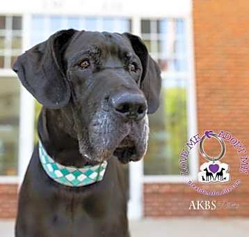 Photo of Thor