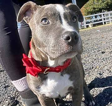Photo of Betty