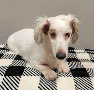 Photo of Squirt