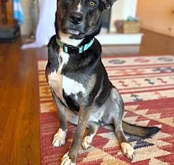 Photo of Winnie