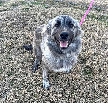 Photo of Ash