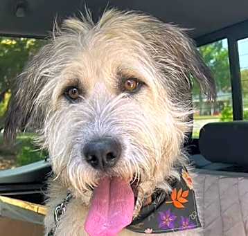 Photo of Gus