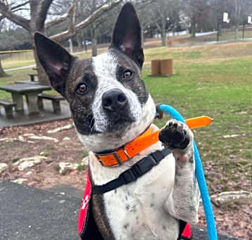 Photo of Derby