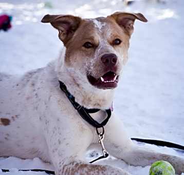Photo of Zeus