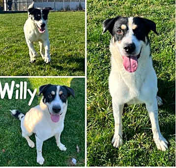 Photo of Willy