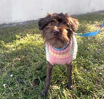 Photo of BINDI