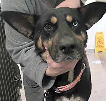 Photo of GUINNESS