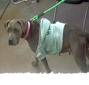 Photo of DAISY