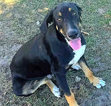 Photo of Hershey