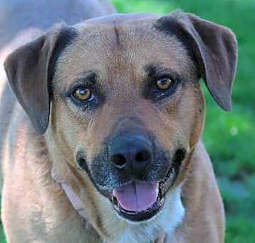 Photo of A.C. Slater