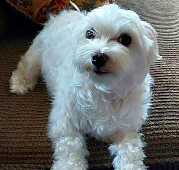 Photo of Pinky Lee (FL)