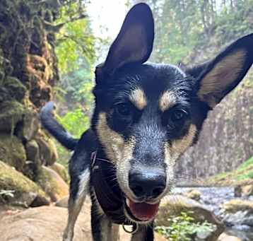 Photo of Oakley