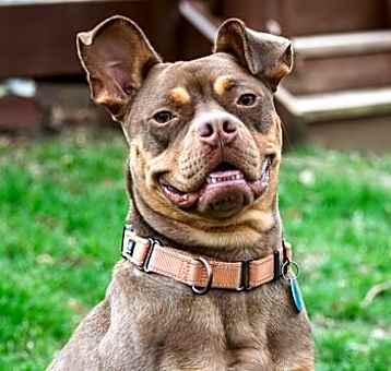 Photo of Twix