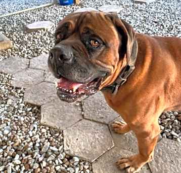 Photo of Monte