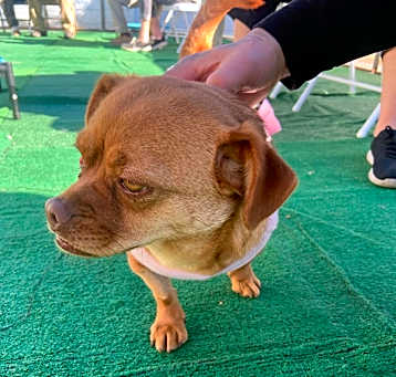 Photo of Little Bit