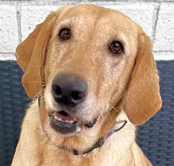 Photo of Adorable Ellie