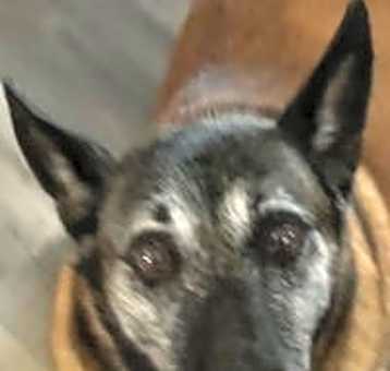 Photo of Sasha