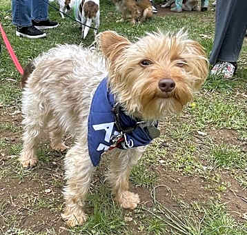 Photo of Sport - Super Cute!