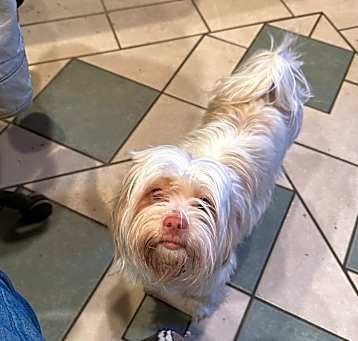 Photo of Mattie
