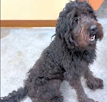 Photo of Ember