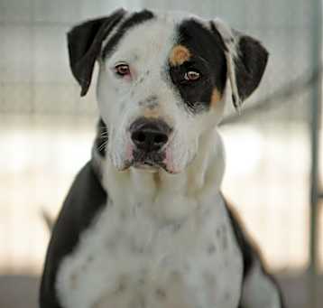 Photo of Tilly