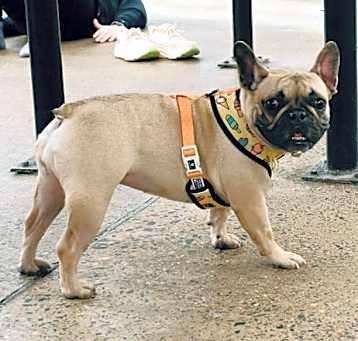 Photo of Laverne