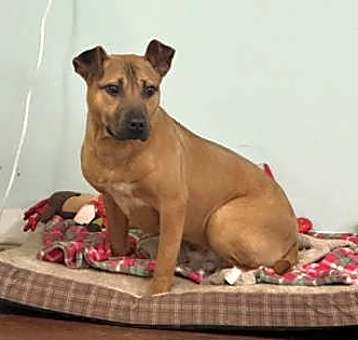 Photo of Tut