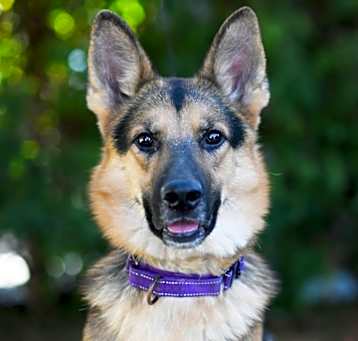 Photo of VINNIE