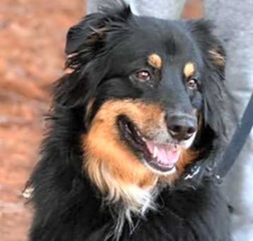Photo of Zeke