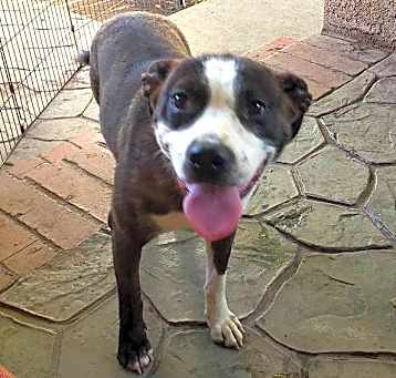 Photo of CHARM